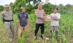 WhatsApp Image 2025-10-12 at 11.40.11